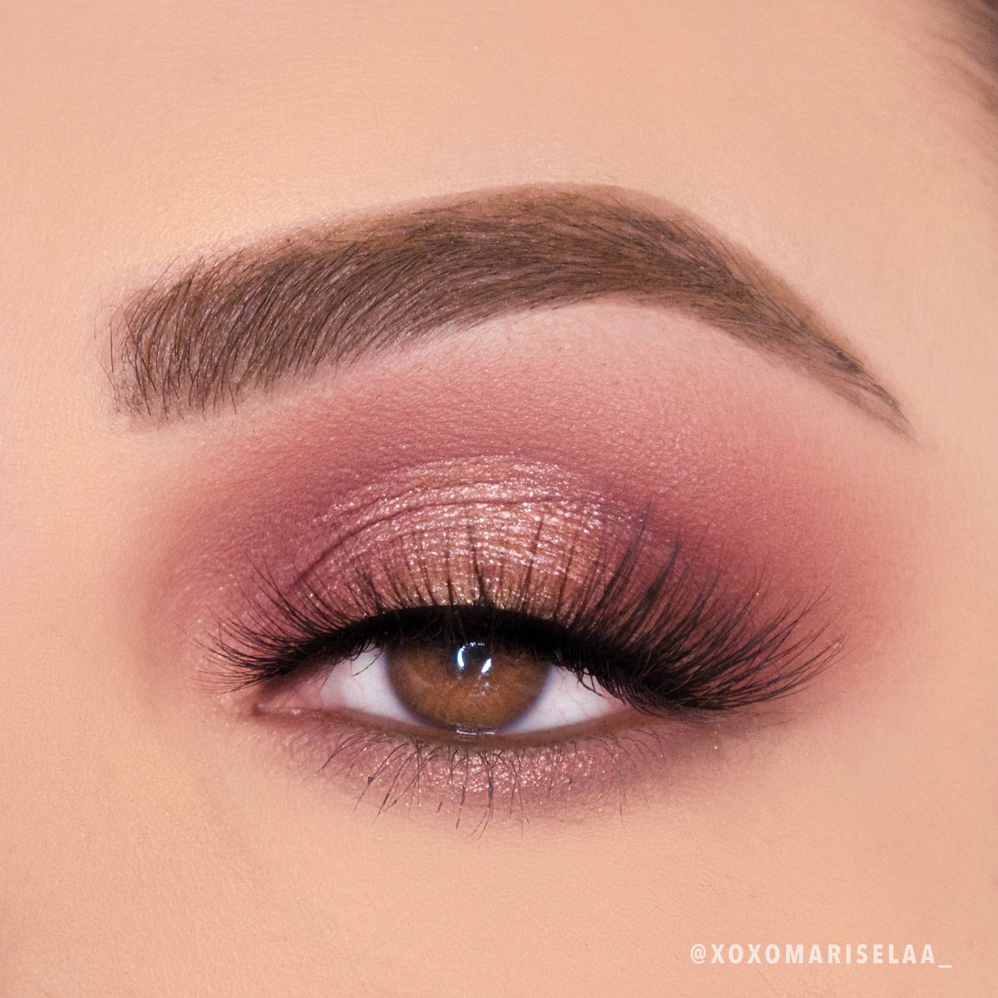 Viva La Rose Palette