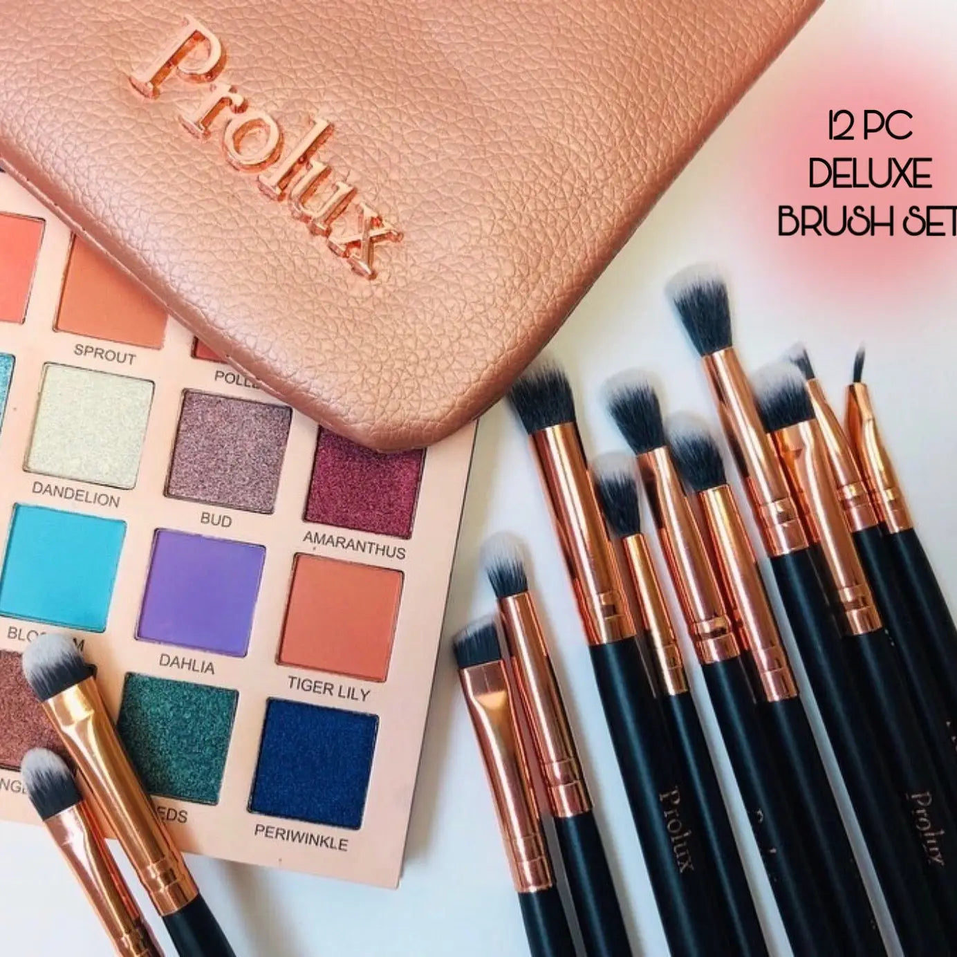 PROLUX- Deluxe 12 Pc Brush Set