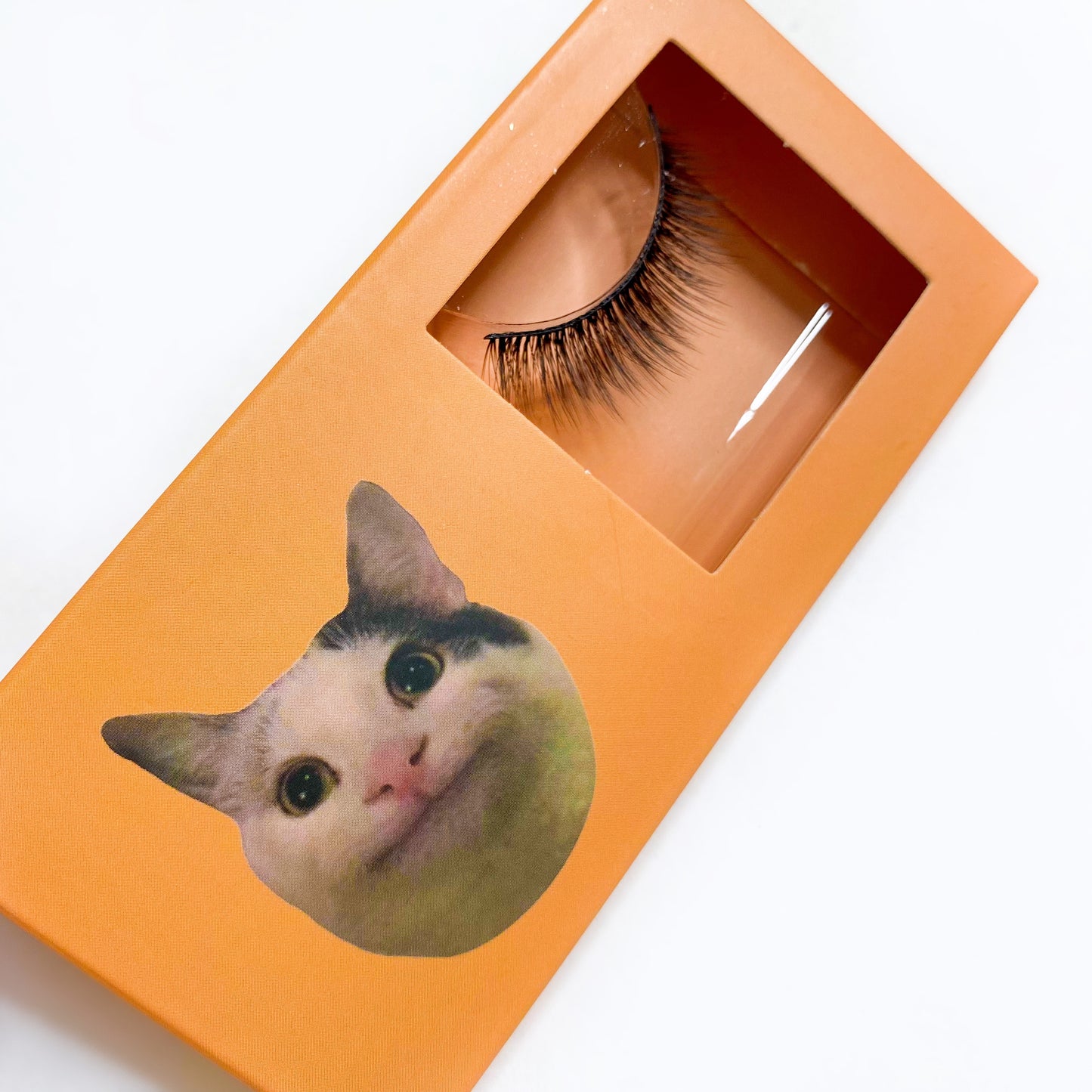 LOHA Cat Meme Lashes