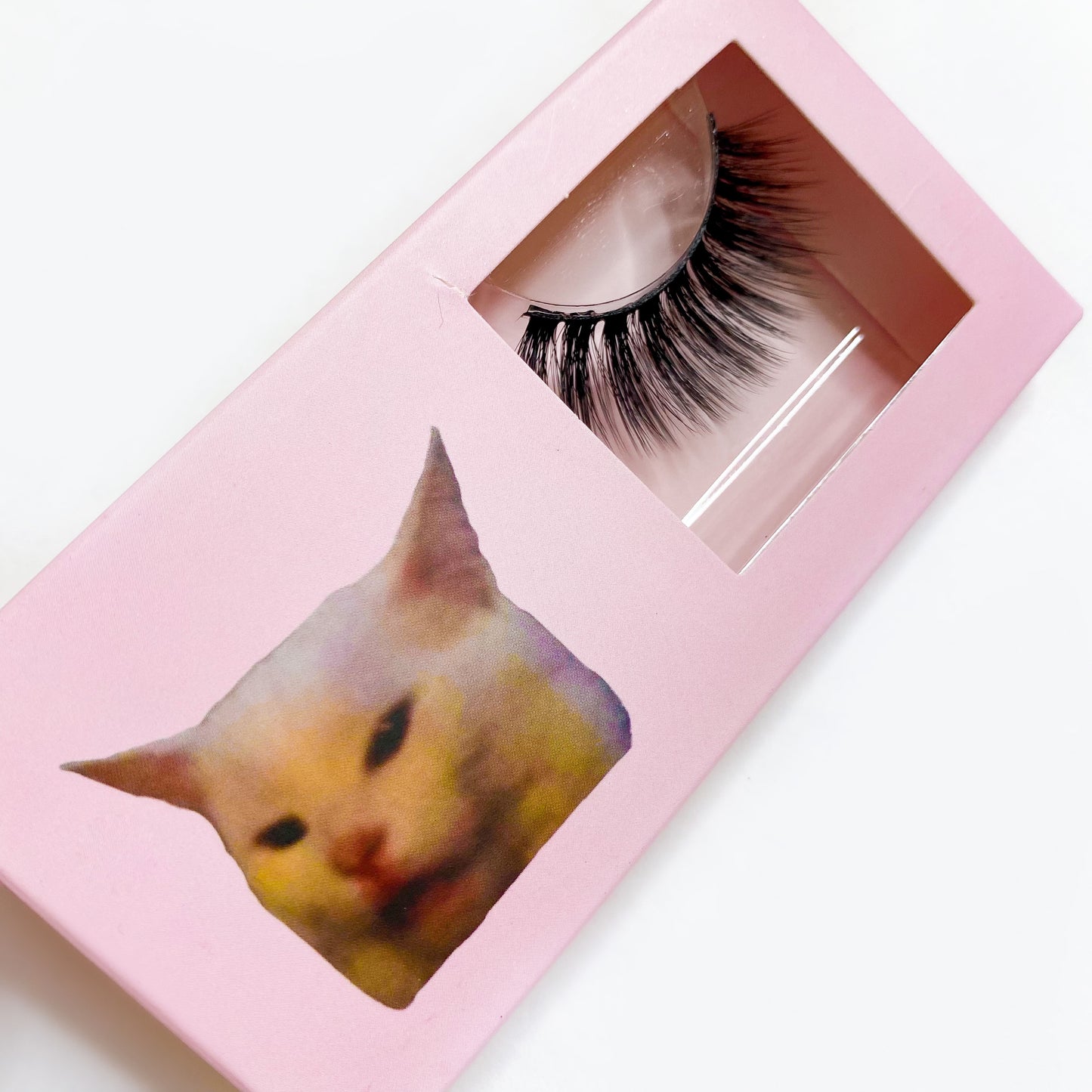 LOHA Cat Meme Lashes