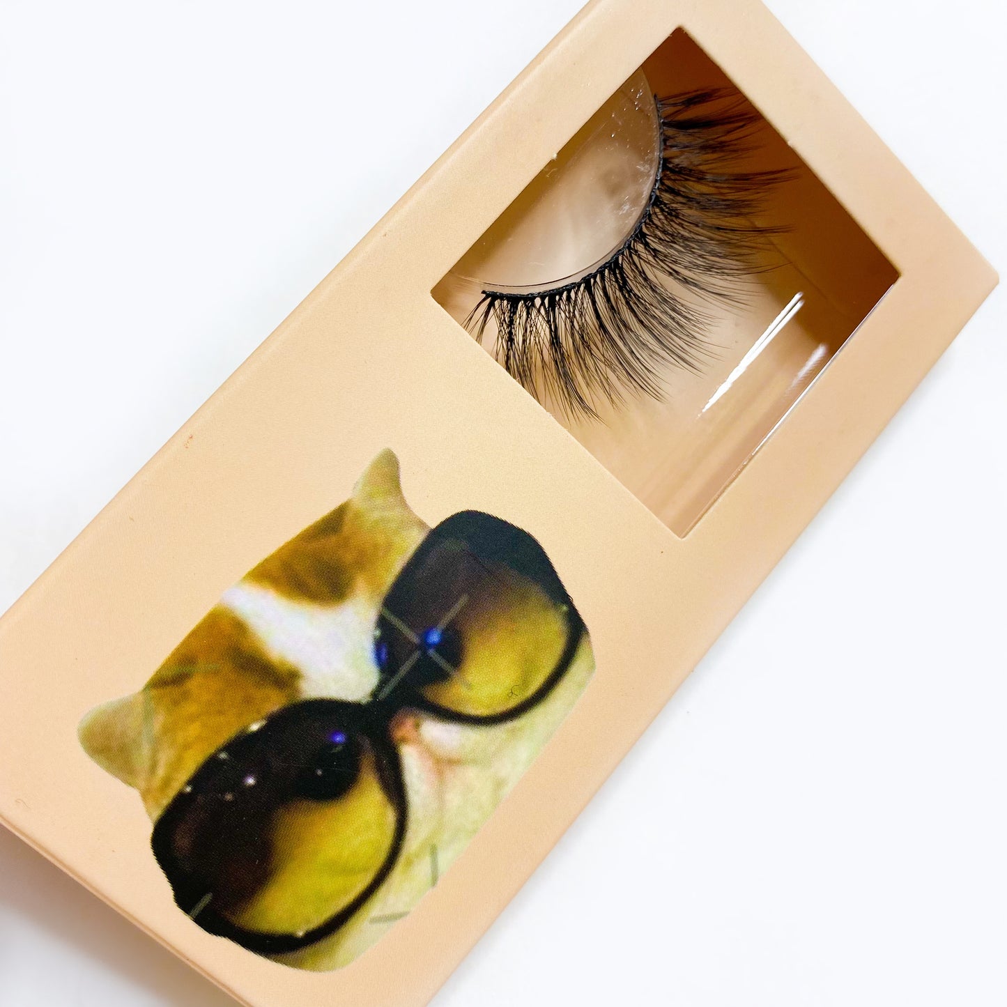 LOHA Cat Meme Lashes