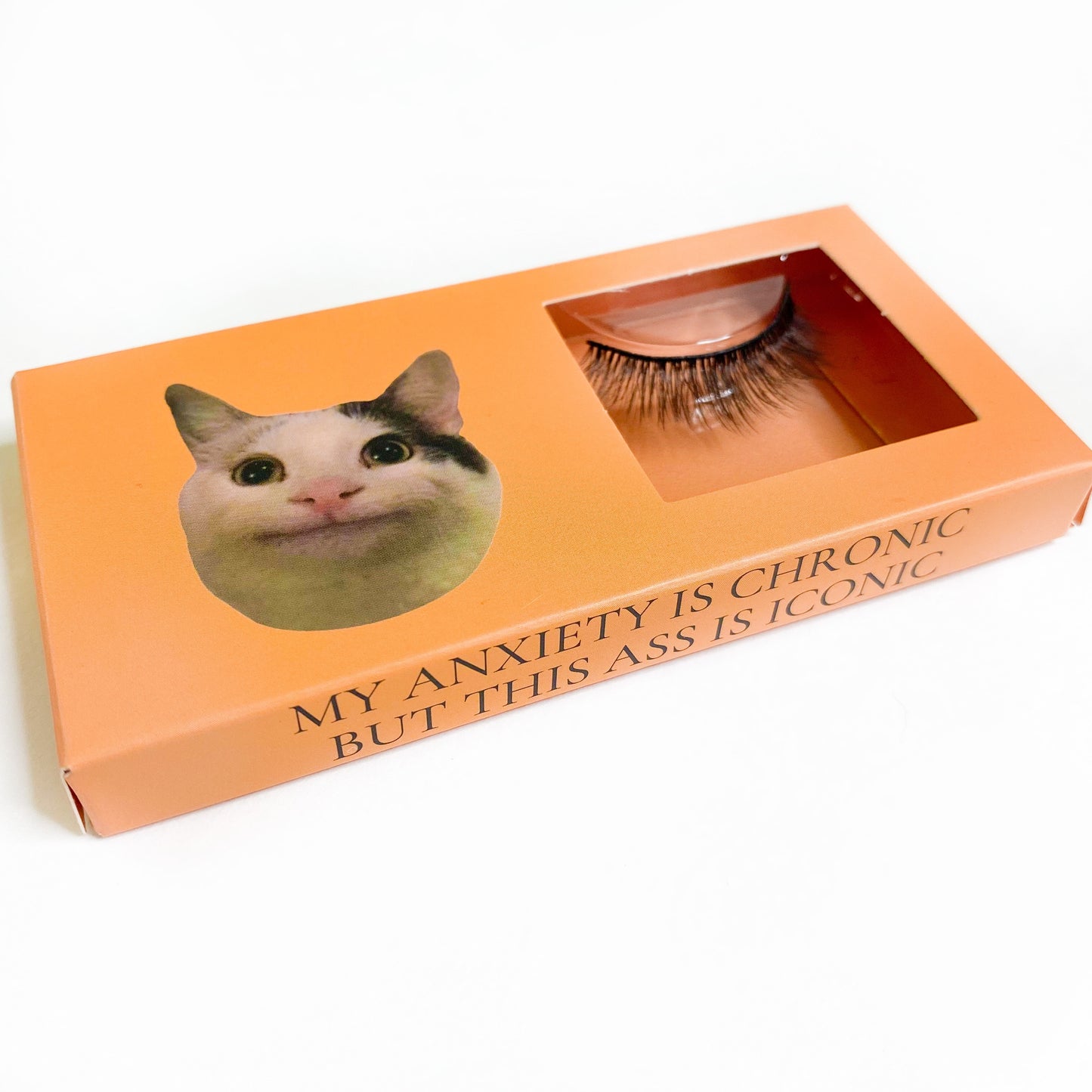 LOHA Cat Meme Lashes