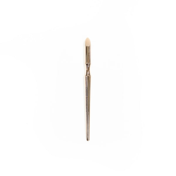 Cheeky Rose Beauty- Makeup Brushes