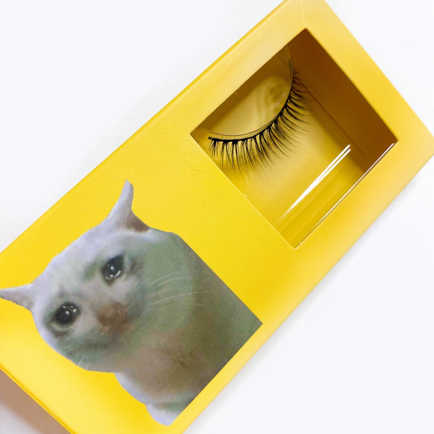 LOHA Cat Meme Lashes