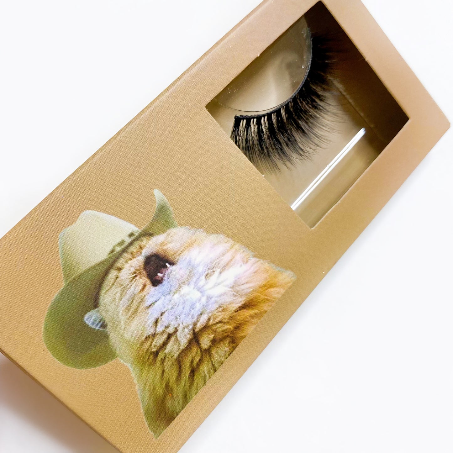 LOHA Cat Meme Lashes