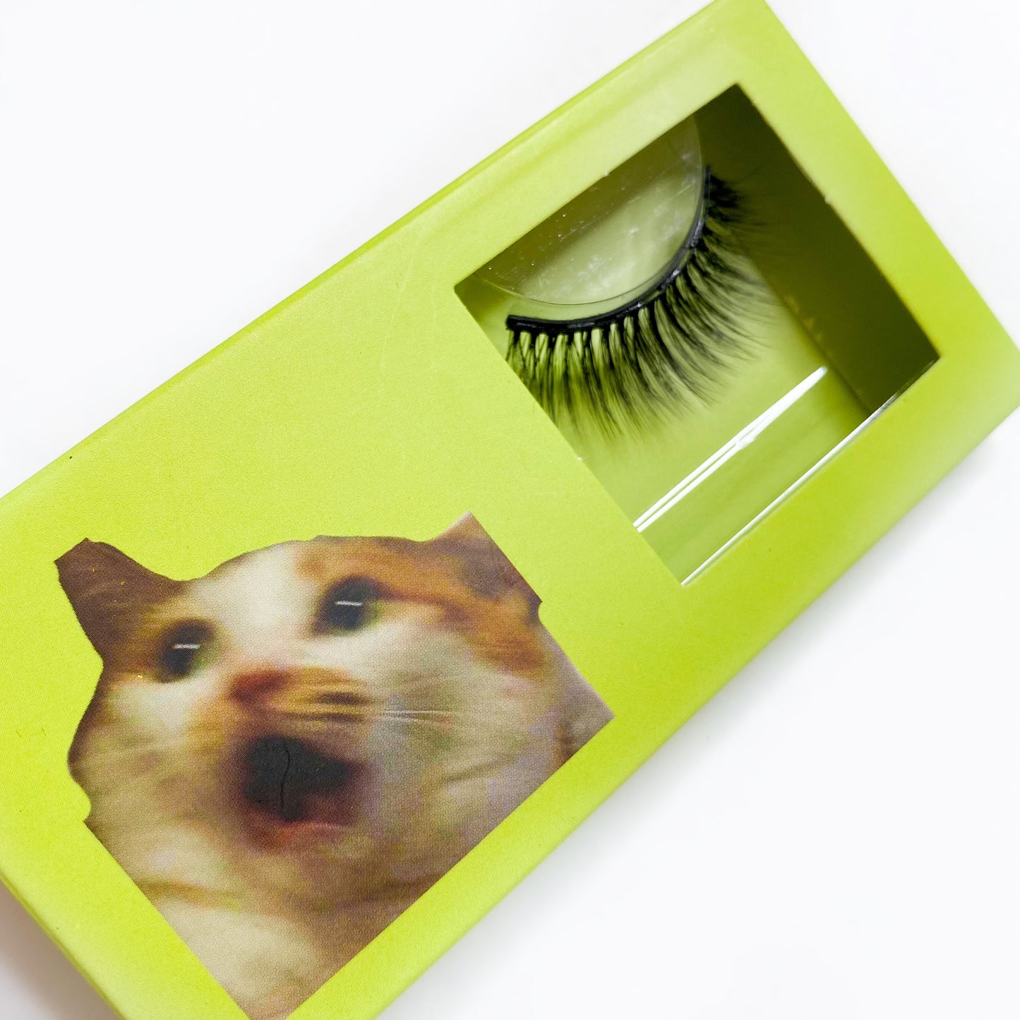 LOHA Cat Meme Lashes